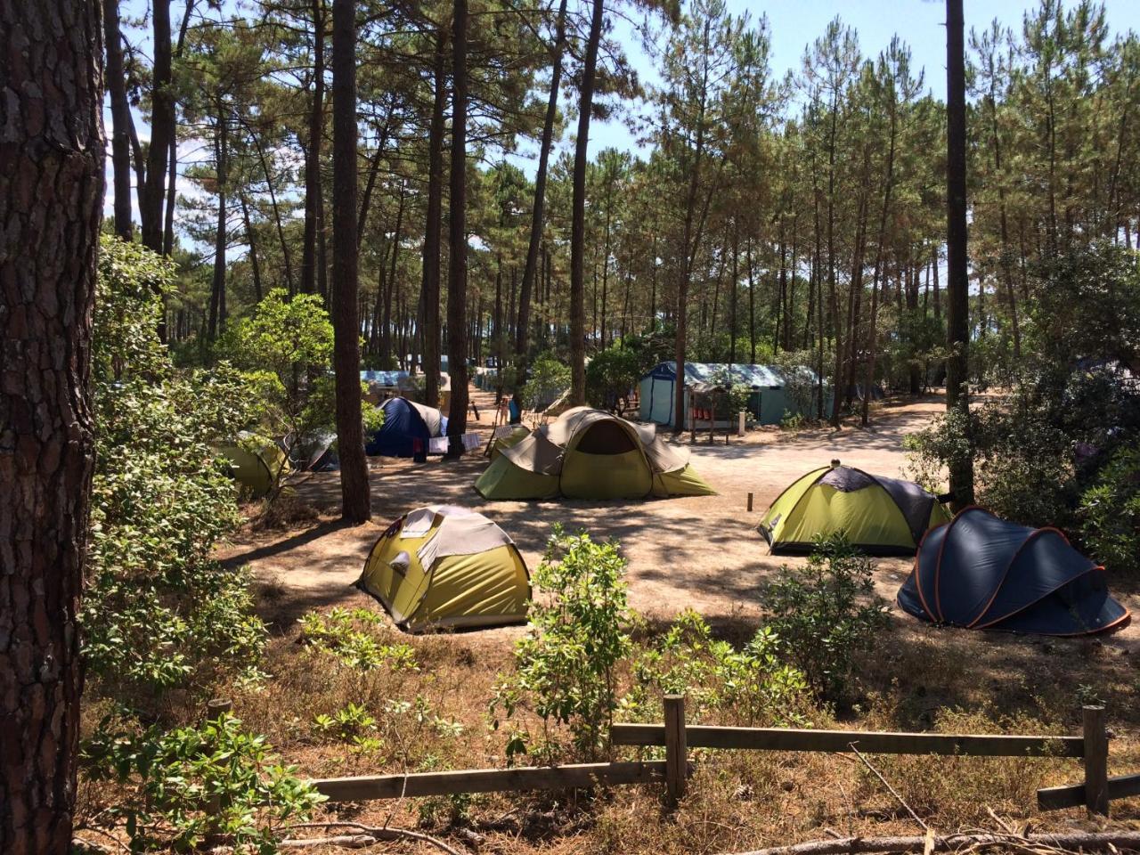 Wellness Sport Camping - La Dune Bleue Carcans Exteriör bild