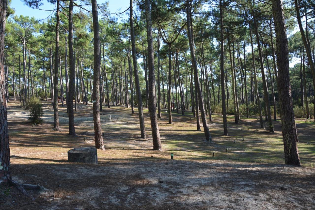 Wellness Sport Camping - La Dune Bleue Carcans Exteriör bild